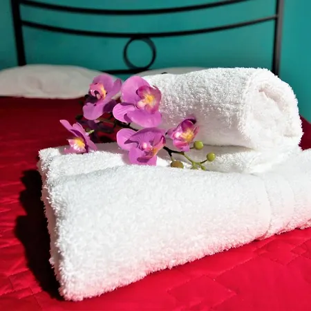 Guest house Citta Delle Scienze Grugliasco