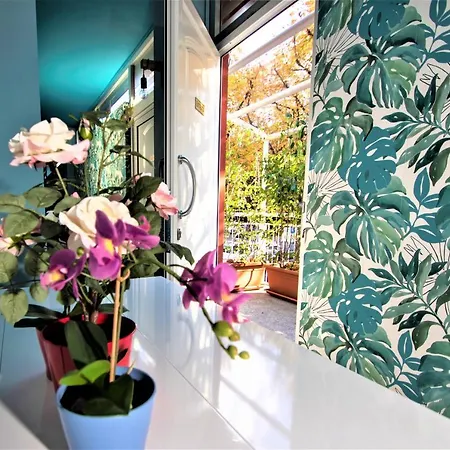 Guest house Citta Delle Scienze Grugliasco 3*